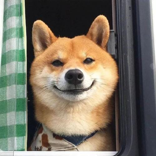 Pia Wurtzbach avatar